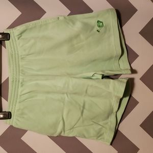 Quacker Factory Mint Green Pull-On Shorts